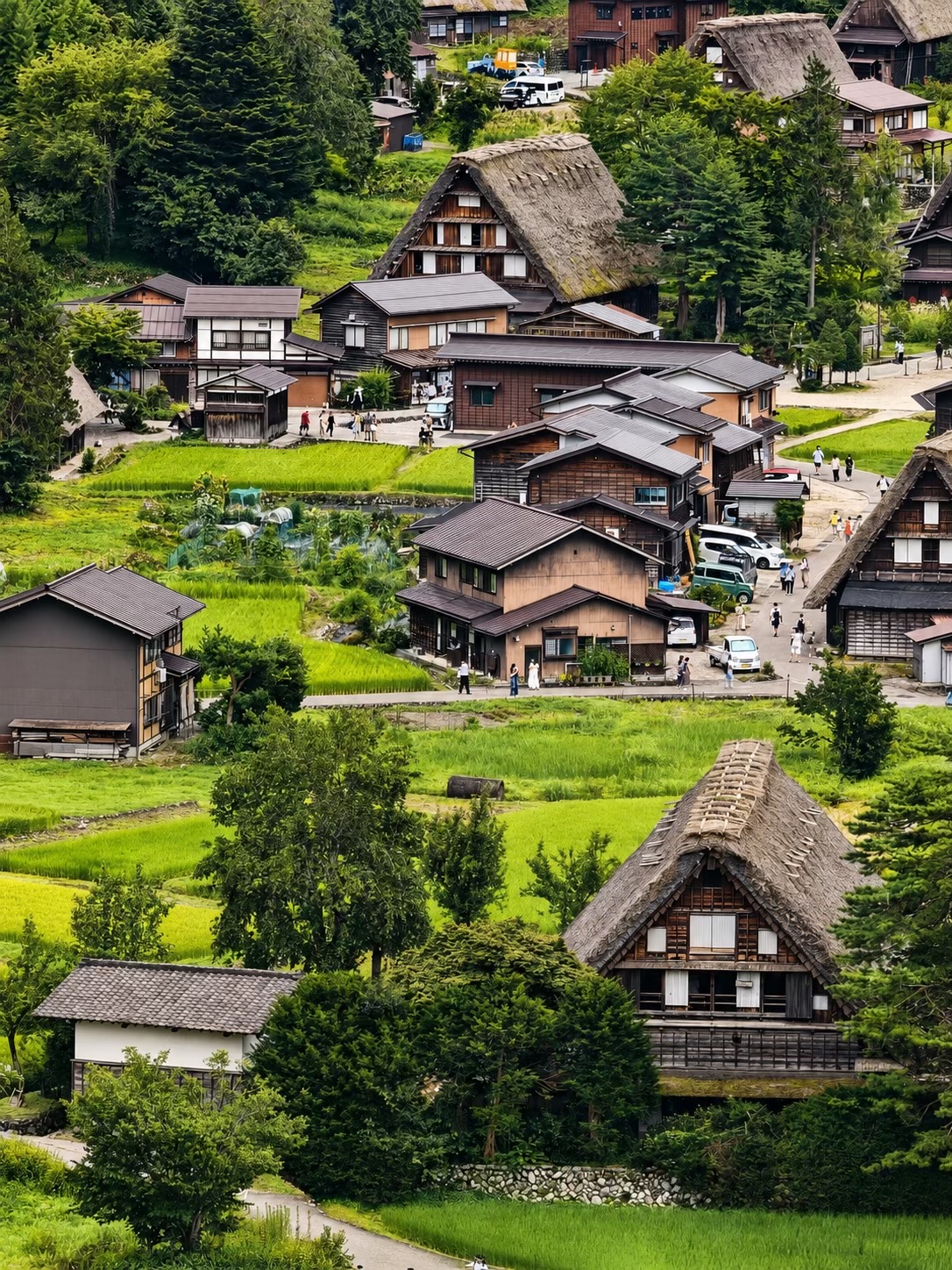 @日本包车-商导