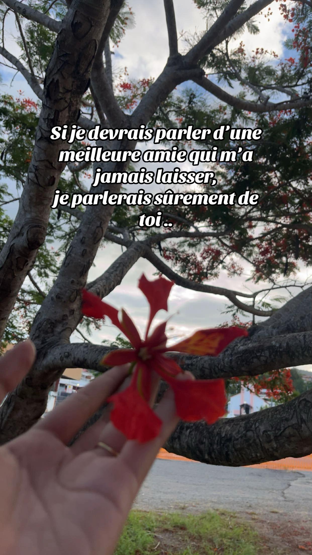 @Ana-fenua🌺