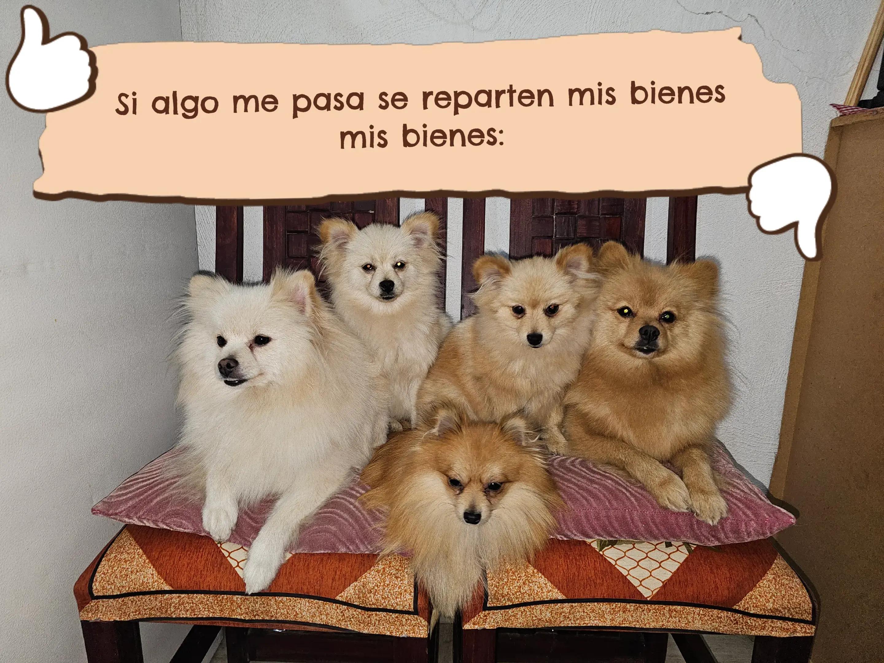 @Denise de Tobias