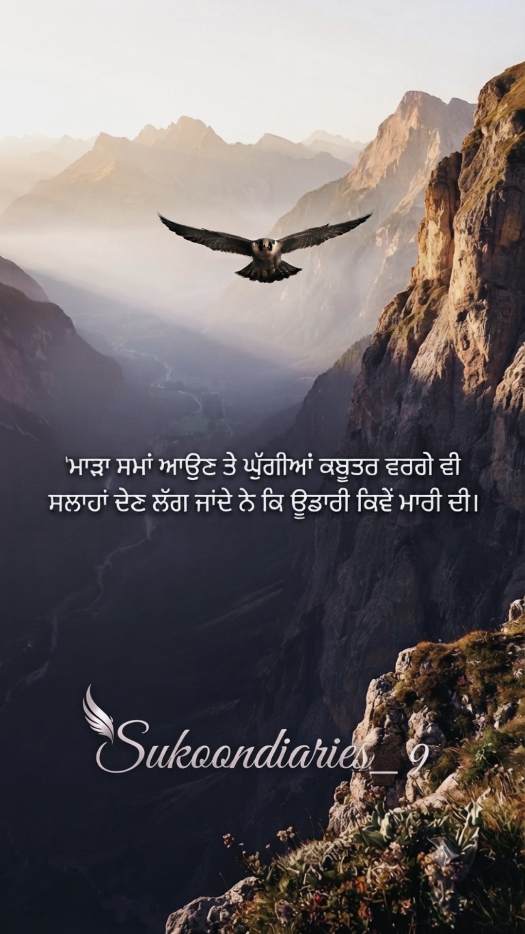 @Sukoon Diaries 🕊️