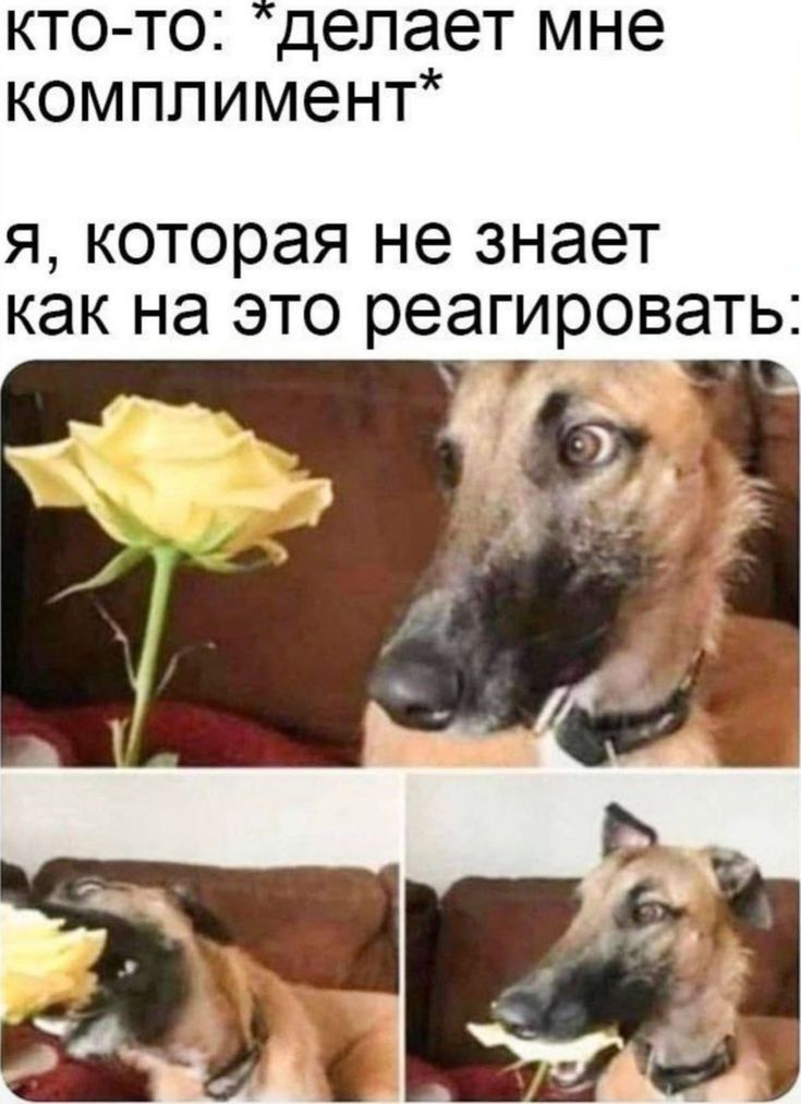 @Smexyehki