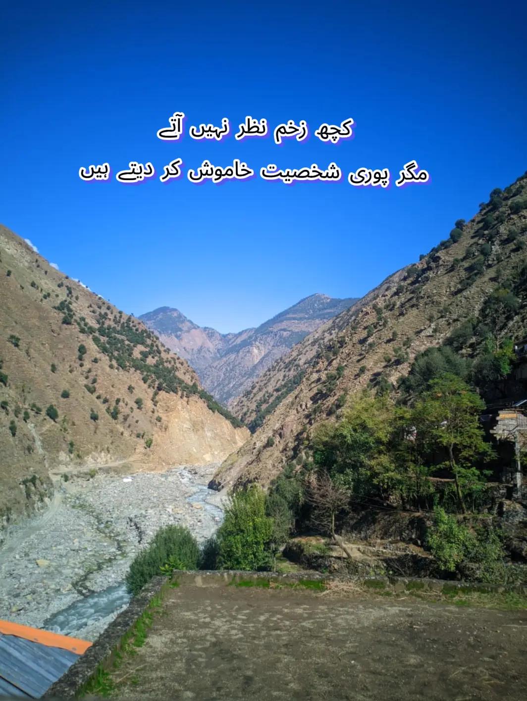 @🕊️