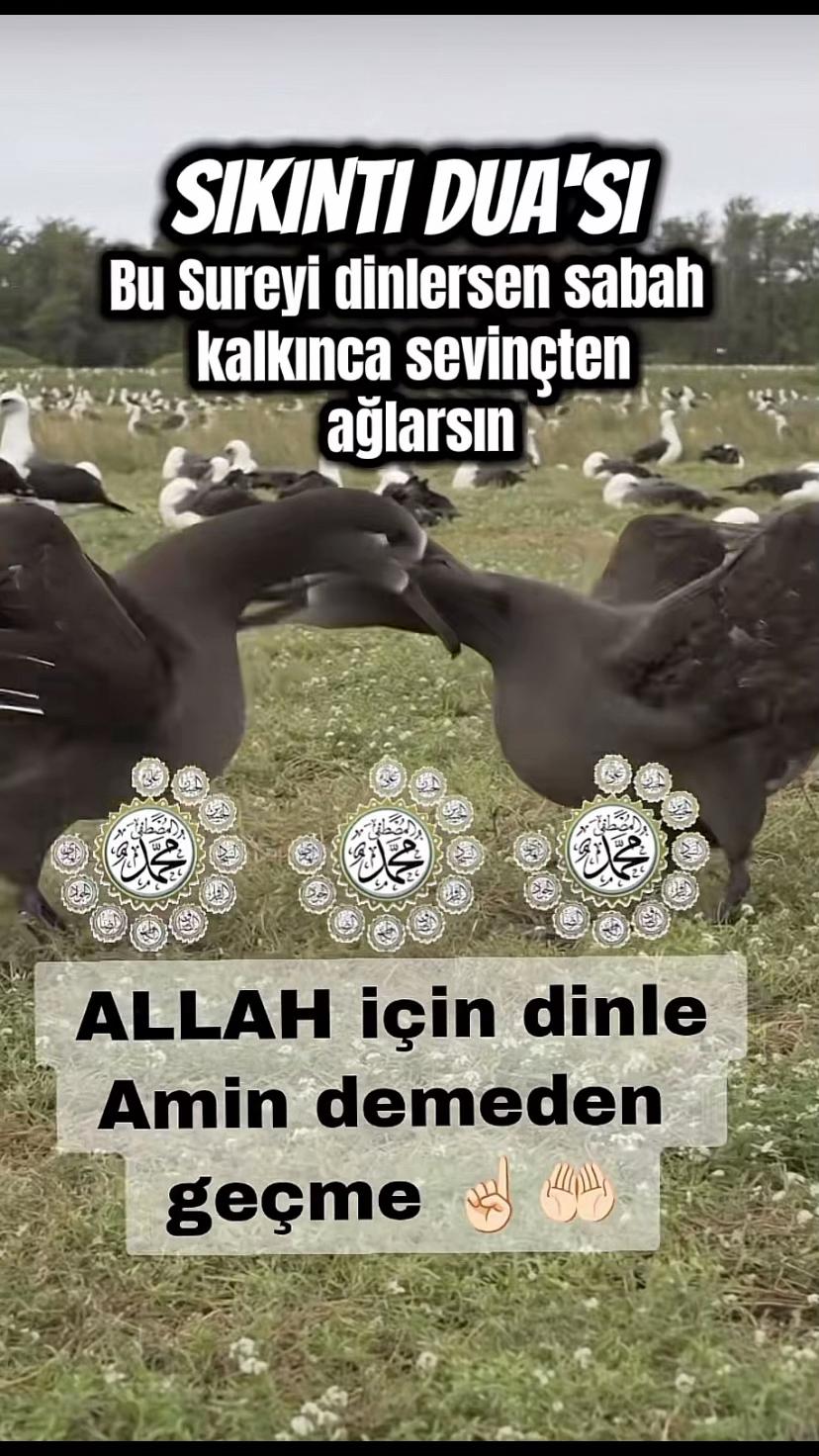 @꧁༺ ALLAH İ&Ccedil;İN ༻꧂