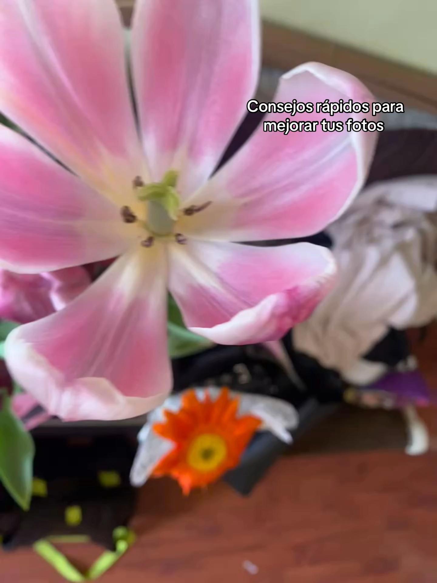 @(*&acute;&forall;`)♪