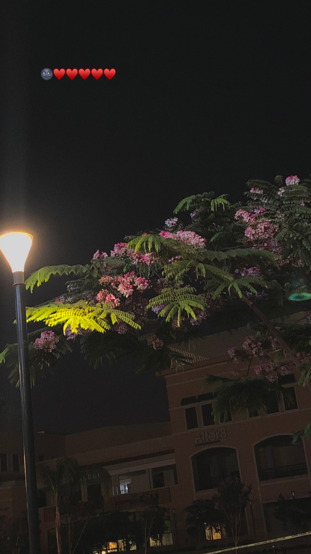 @ابو رضا ✨