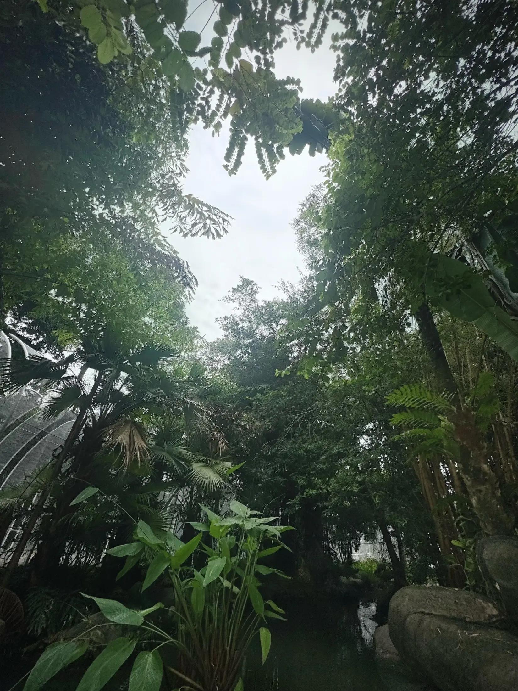 @pi tiên ™