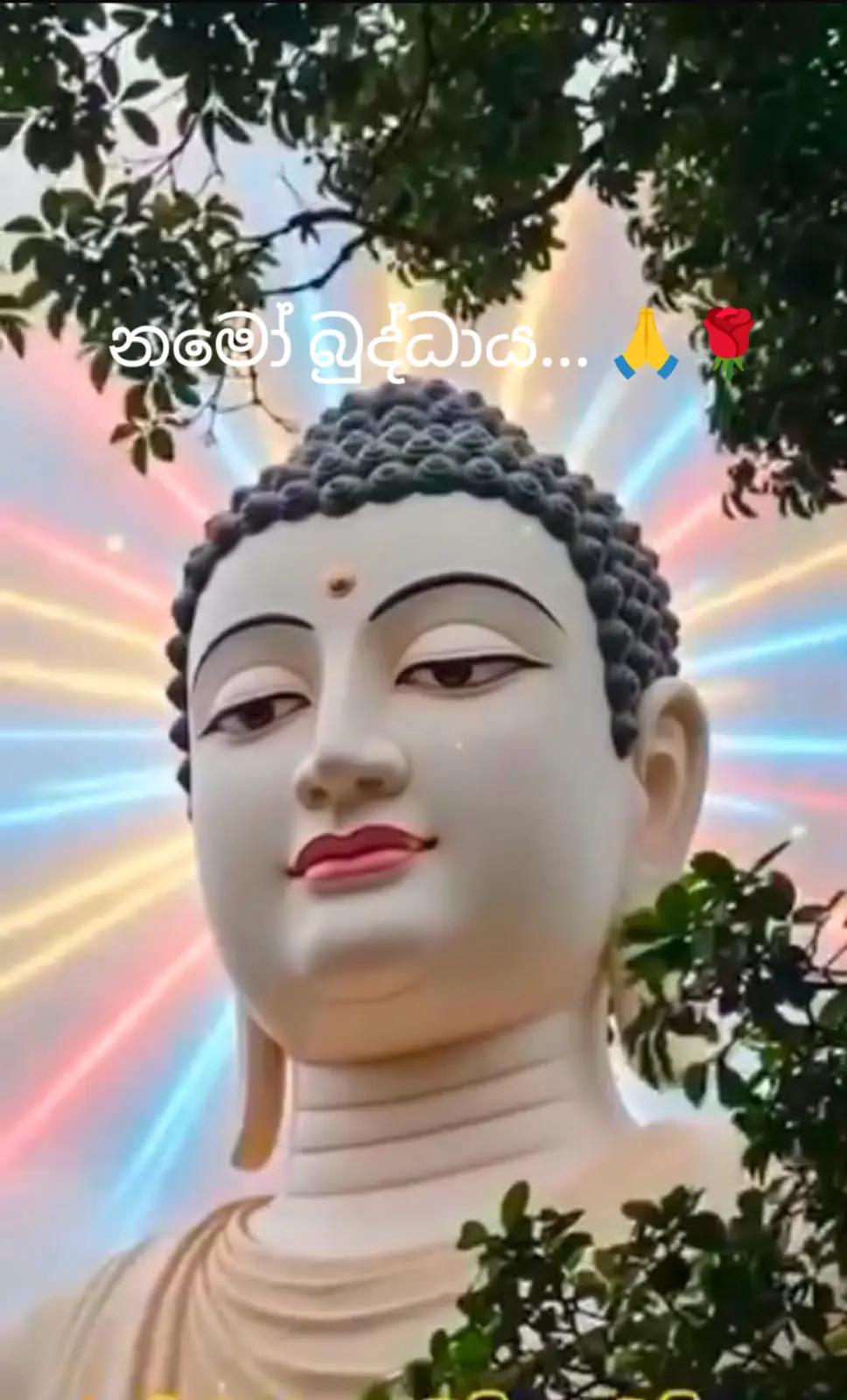 @සබ්බ දානං ධම්ම දානං ජිනාති