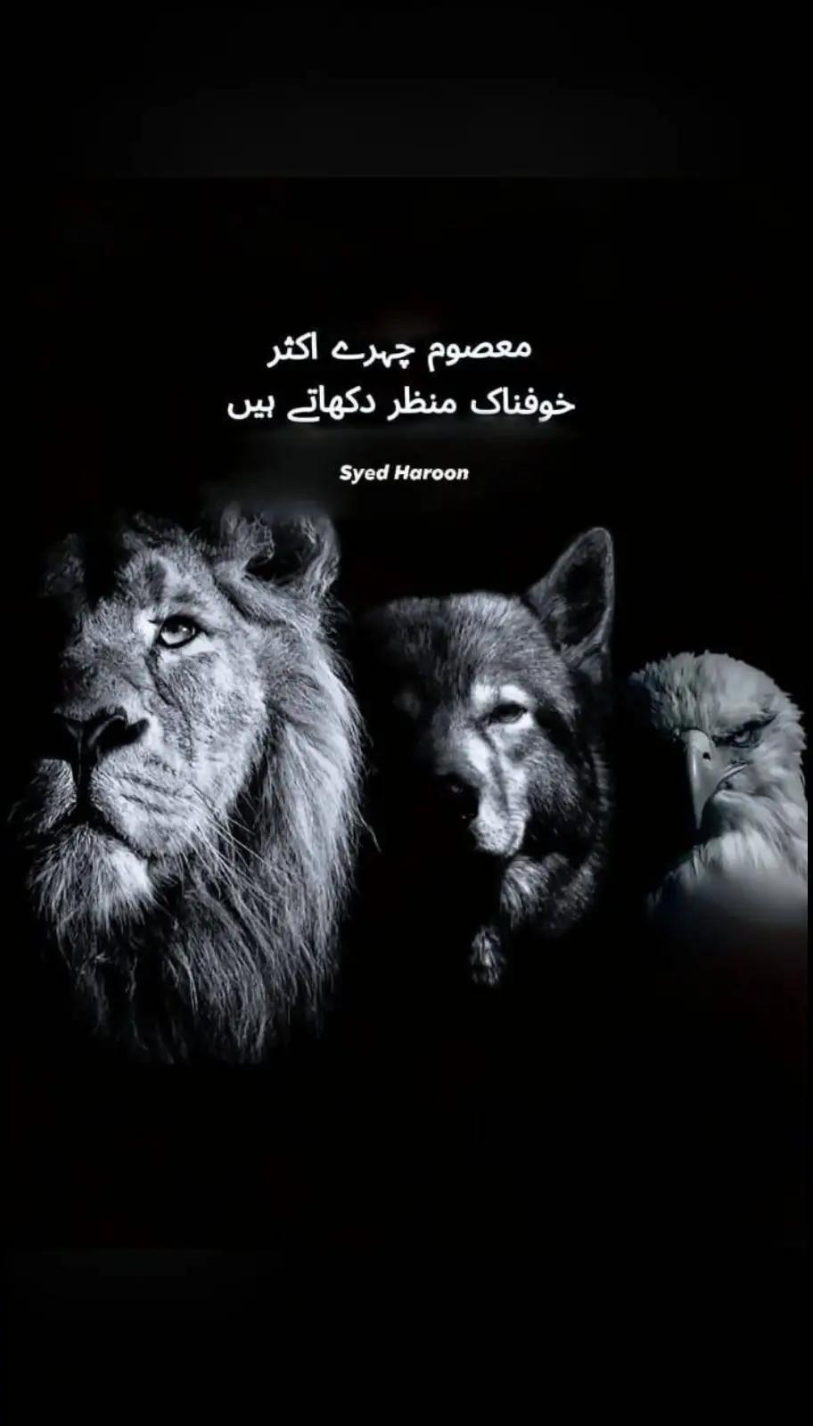 @✌️✌️مدثر🌞