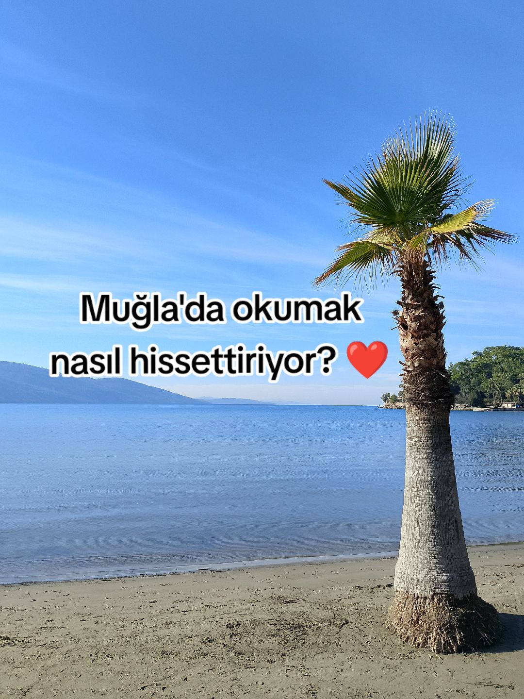 @yusuf