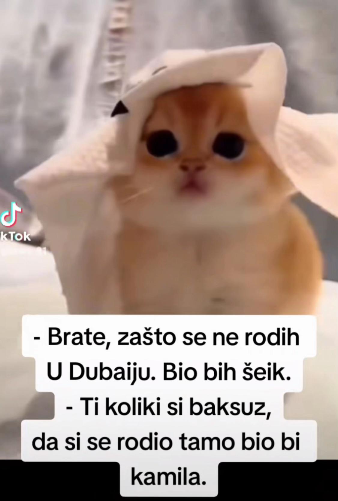 @plavaiplava