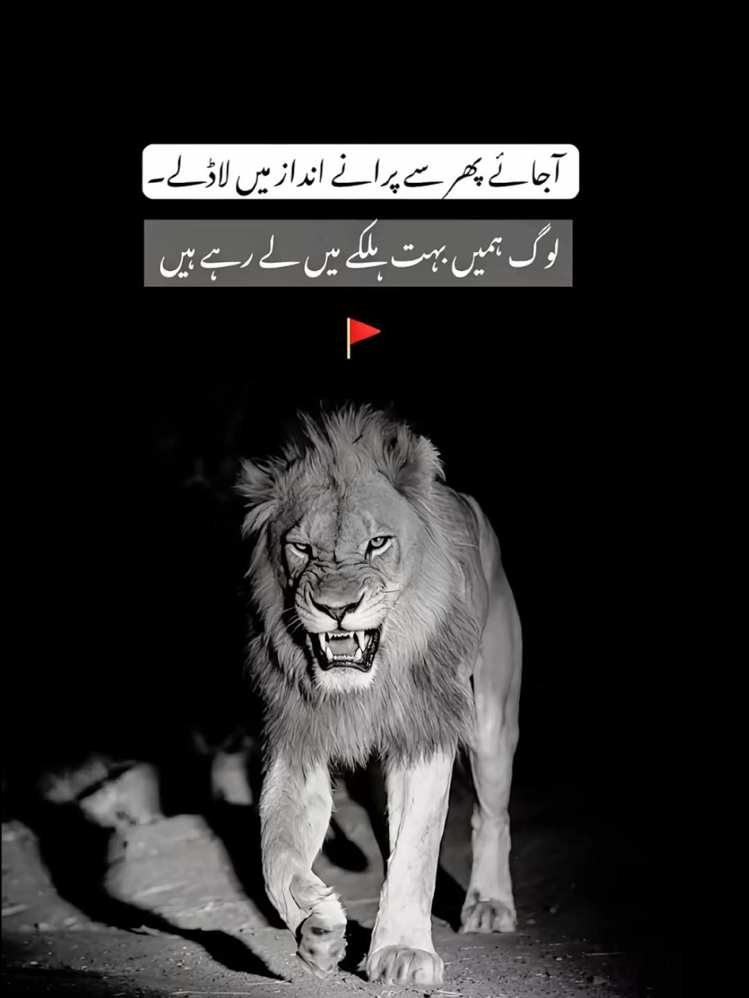 @🎵🔥SuNNa 🥷🏻 بیلے آلہ
