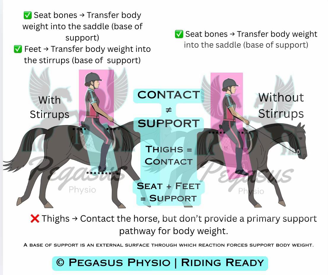 @Pegasus Physio