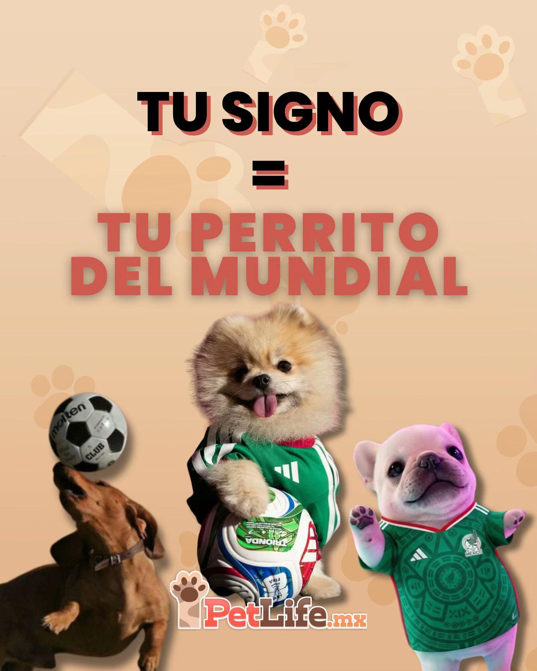@Petlife
