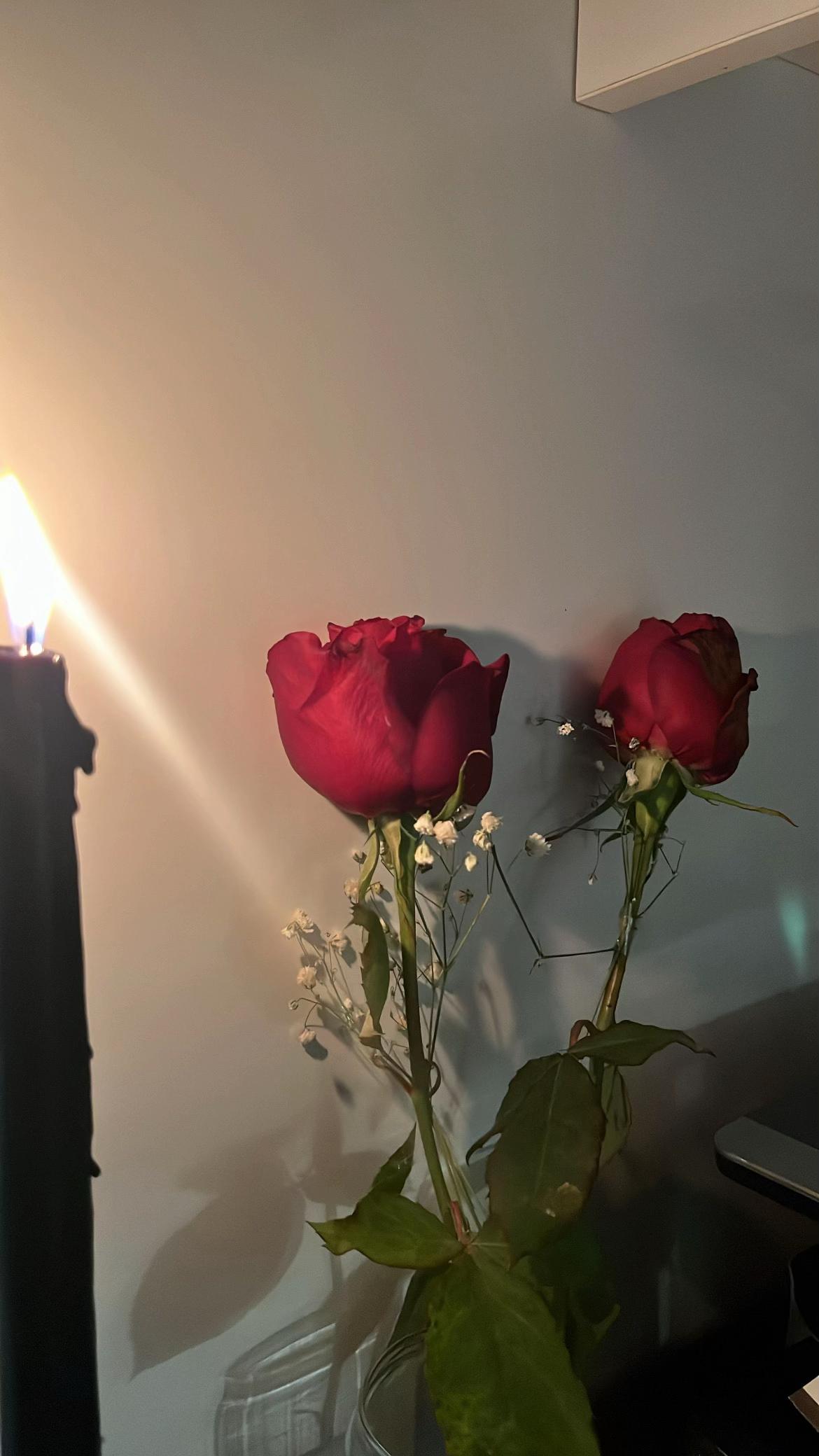 @gozdeburak