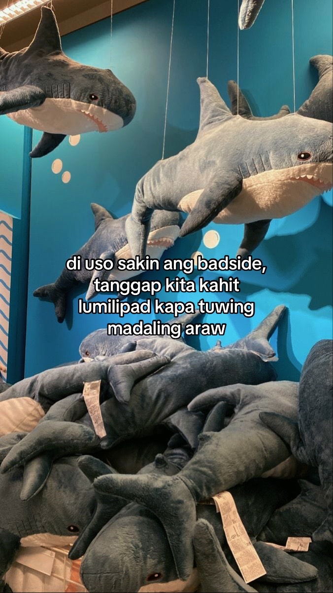 @jiae