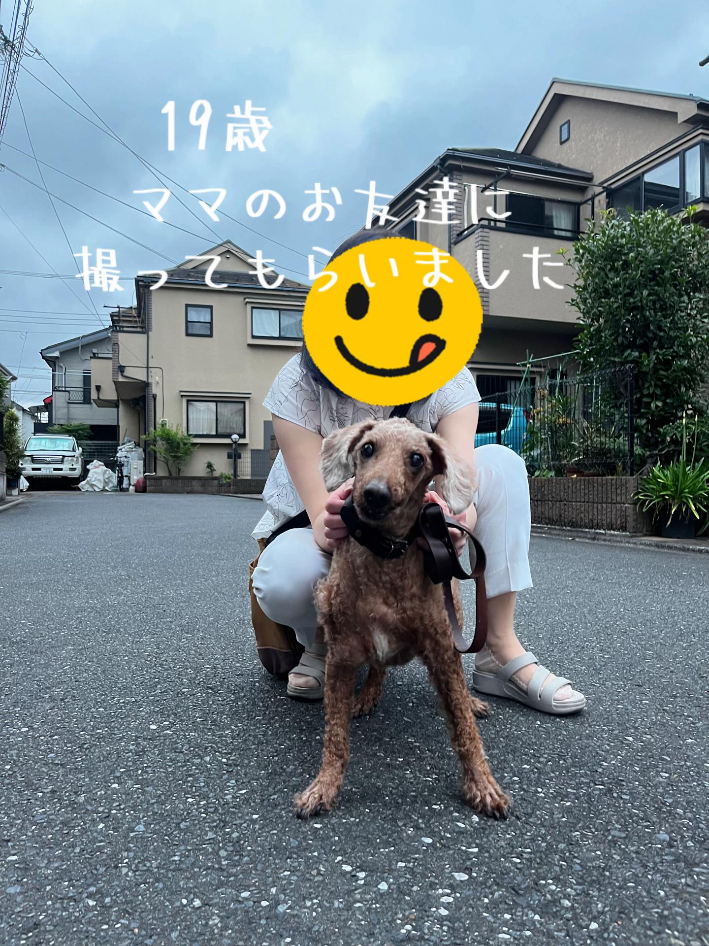 @ルイママ