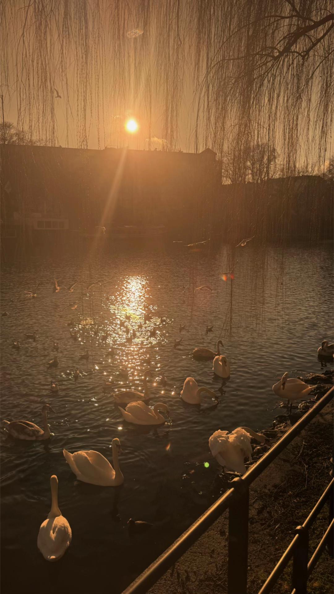 @𝒎𝒂𝒔𝒄𝒉𝒂 ✧