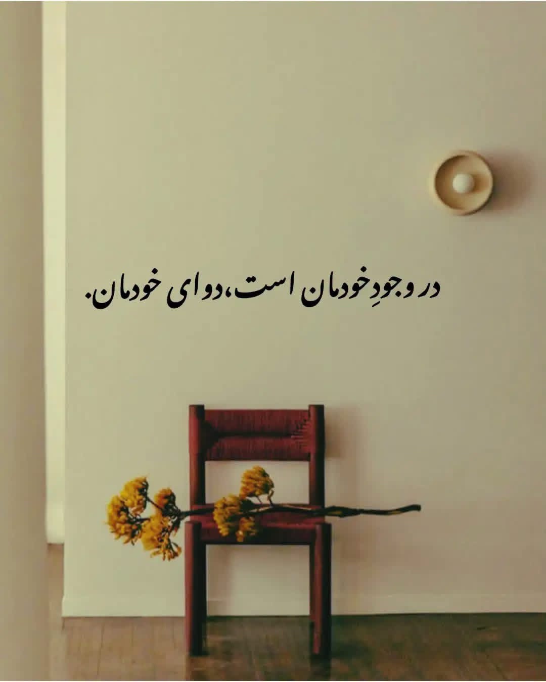 @Hani