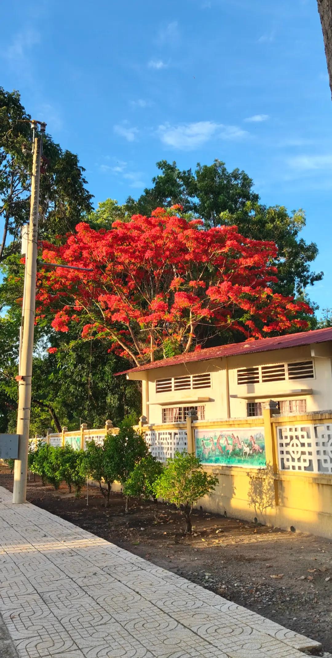 @Ngân sắp giảm cân