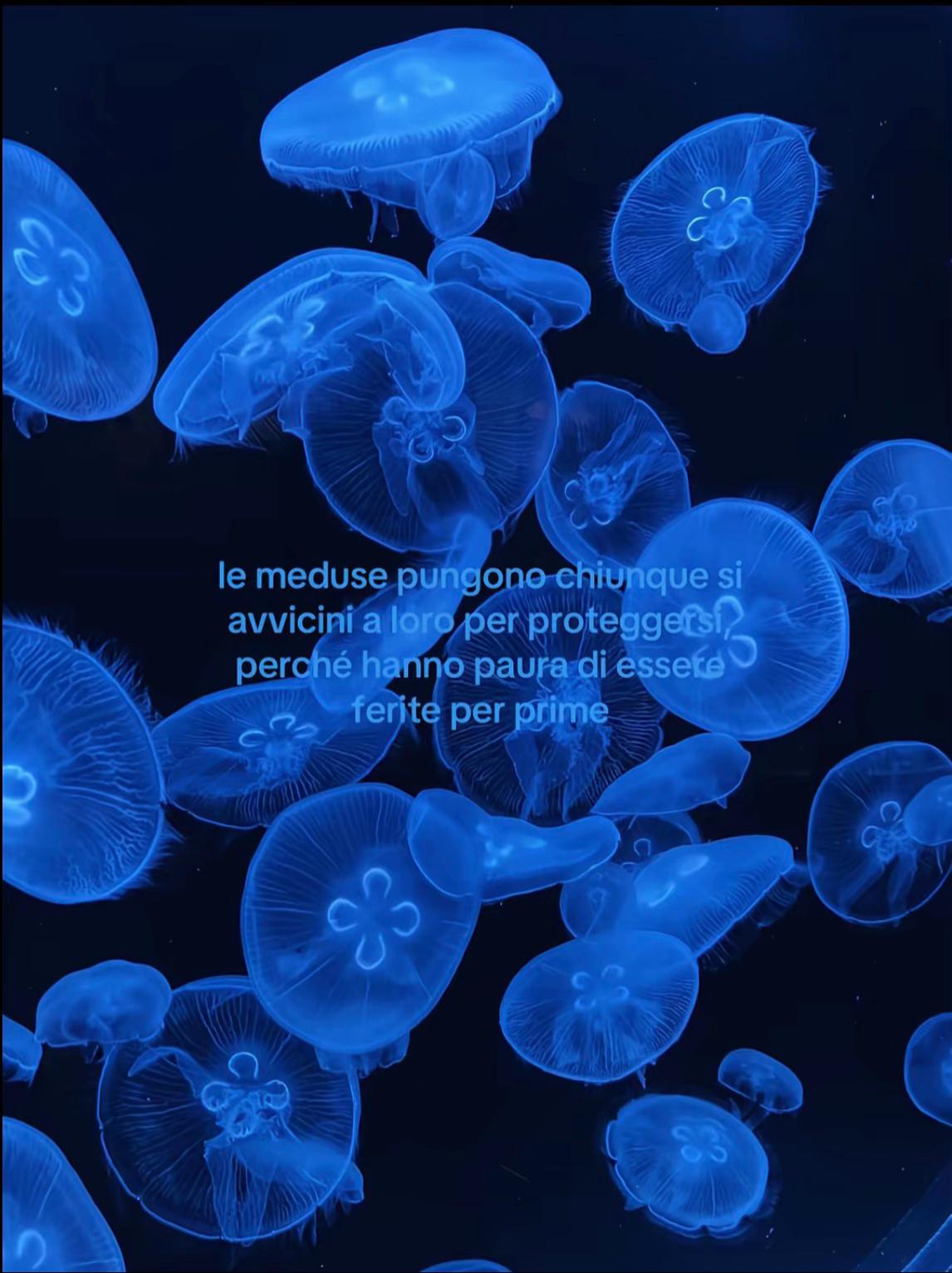 @𝑀&𝐹