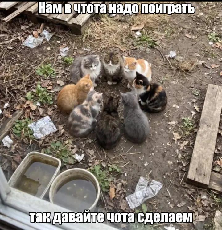 @mythware666
