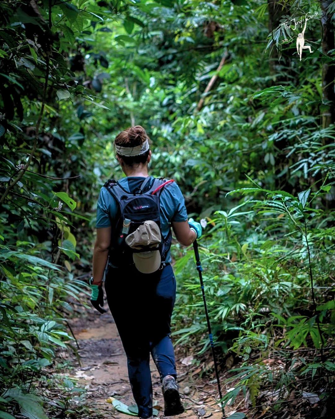 @The Jungle Guide