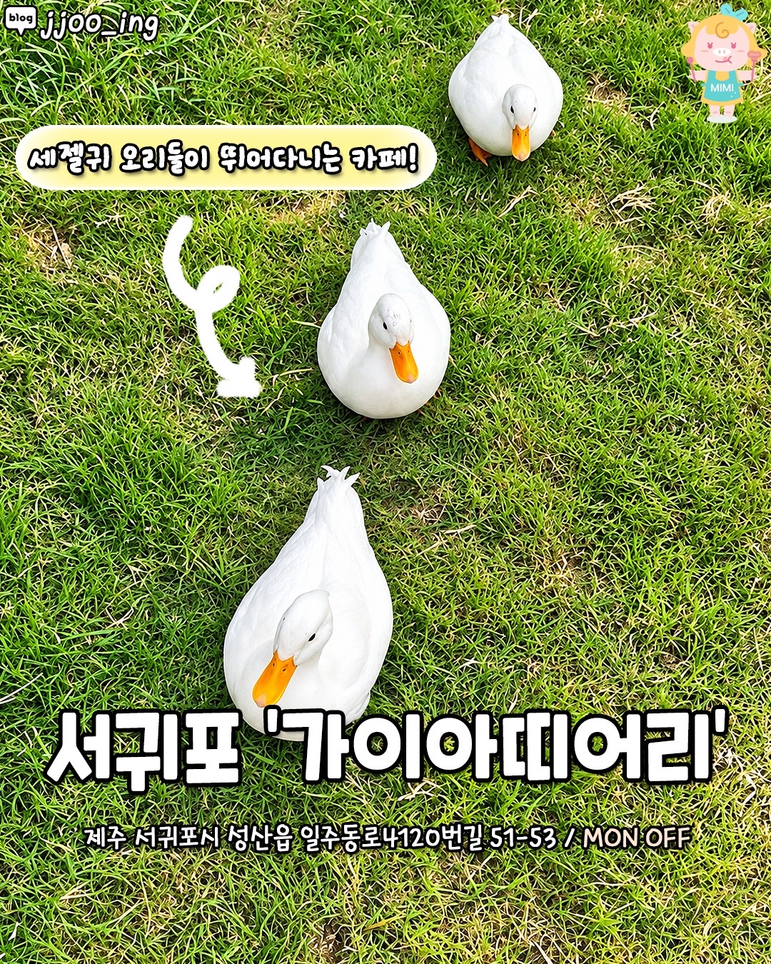 @제주핫플