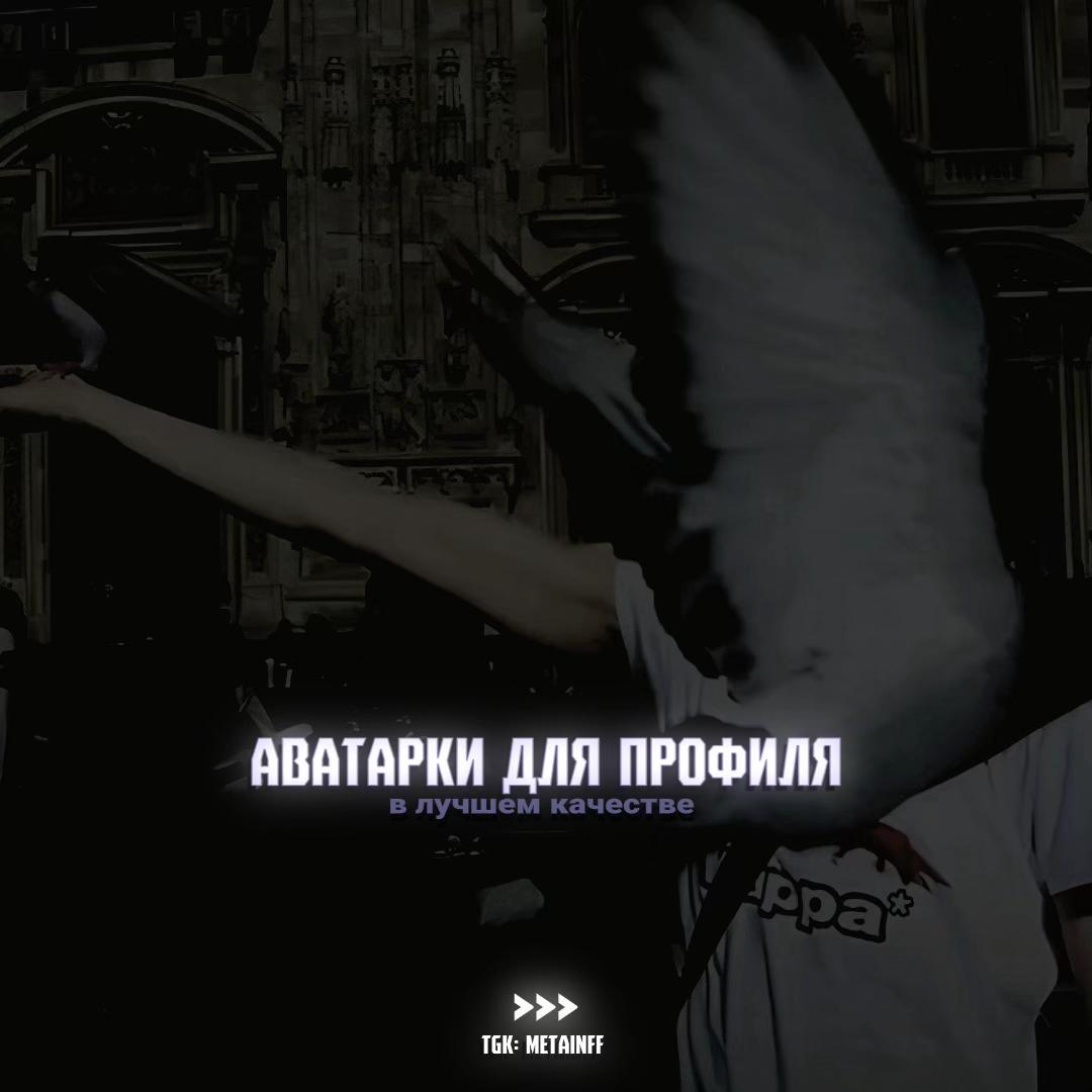 @тгк: @metainff