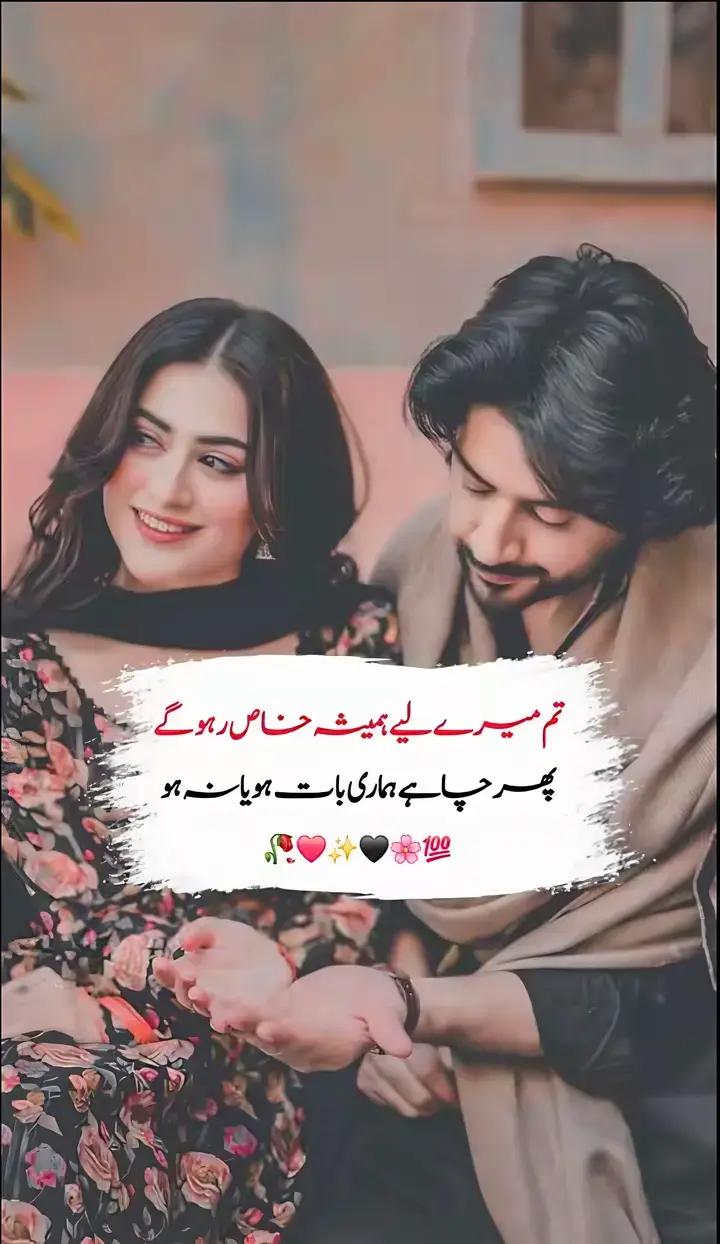 @Abdul Rehman