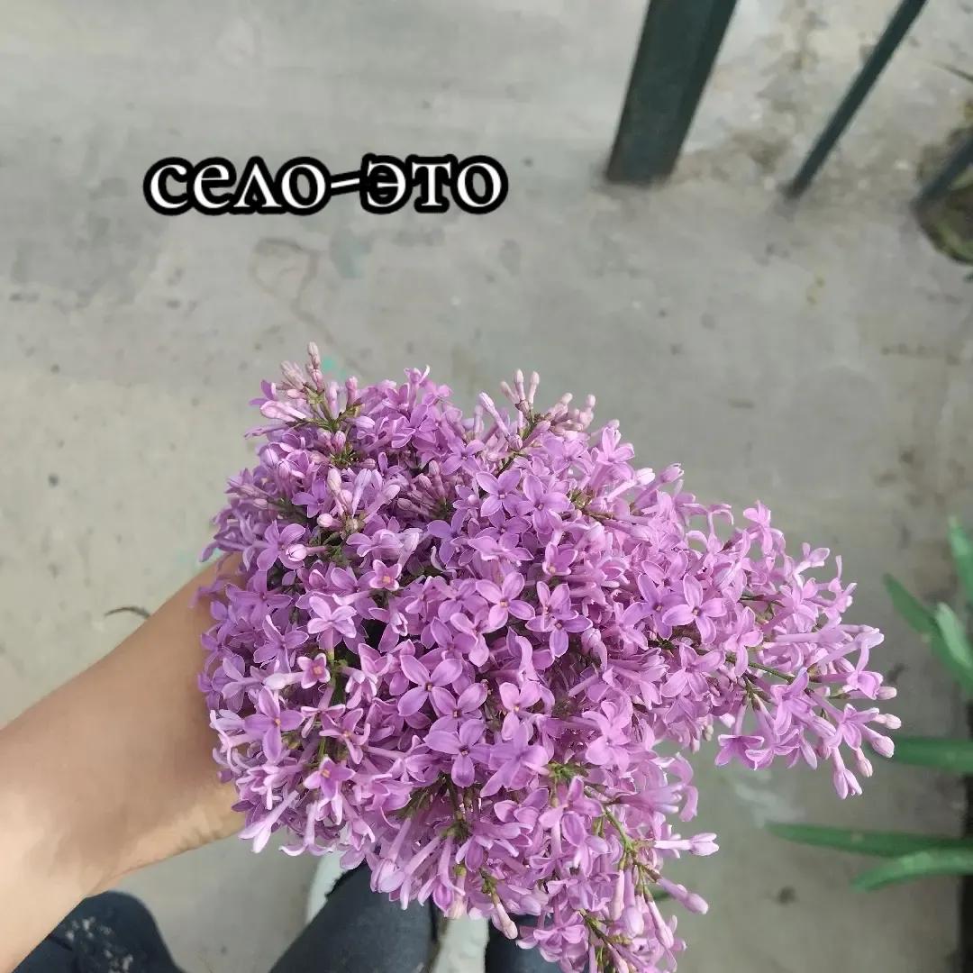 @Комфорт❤️