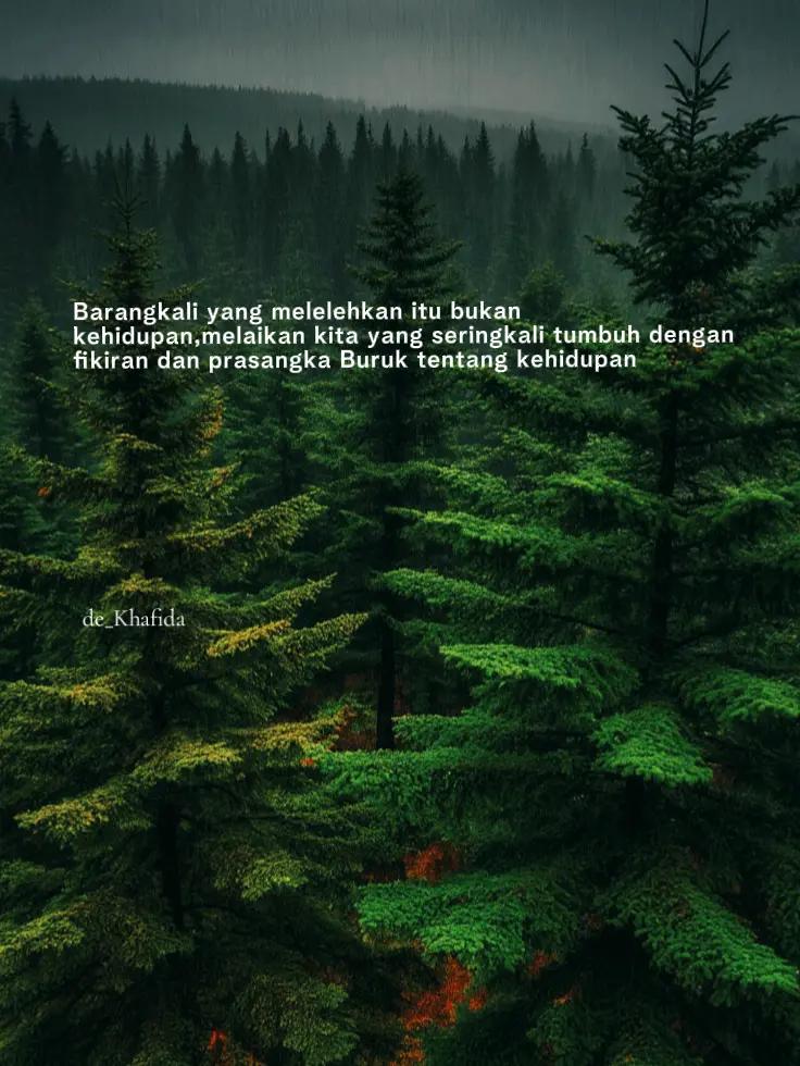 @de_Khafida