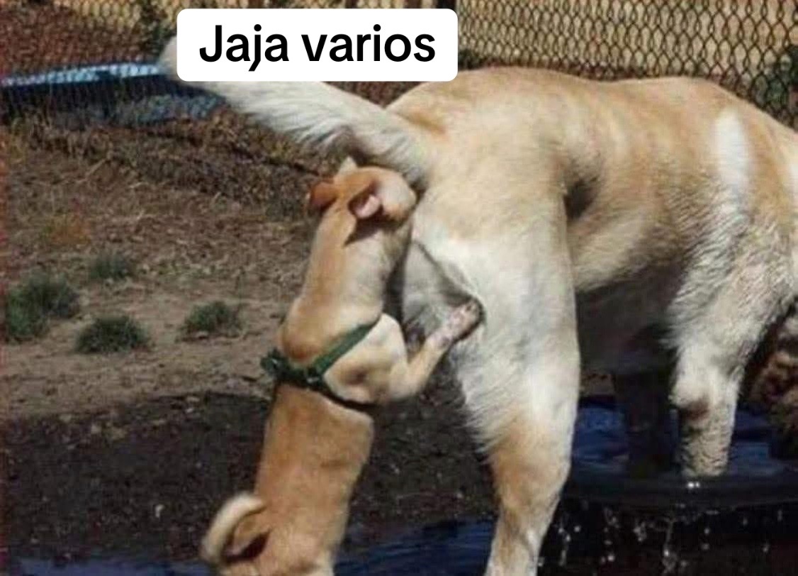 @Guzm&aacute;n