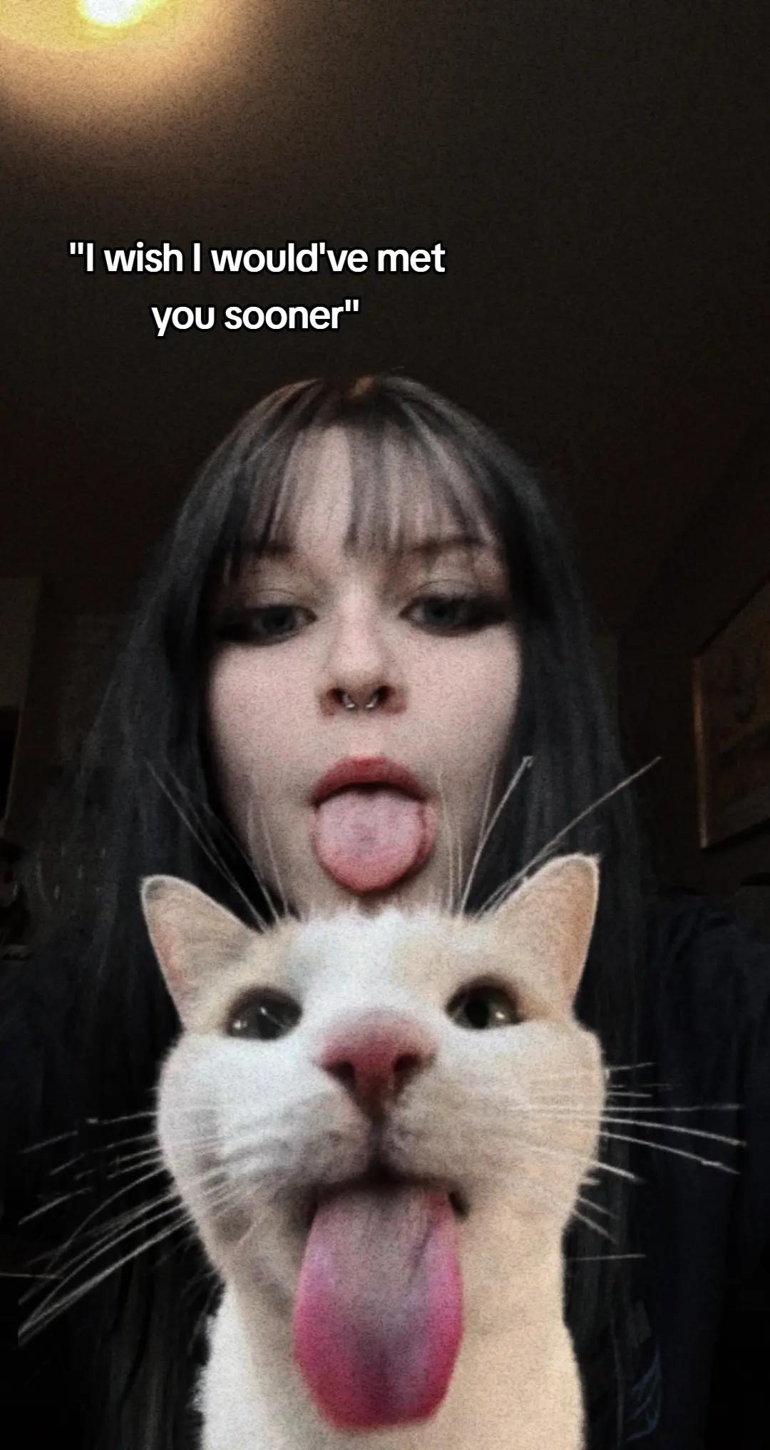 @.・✫・゜・。.