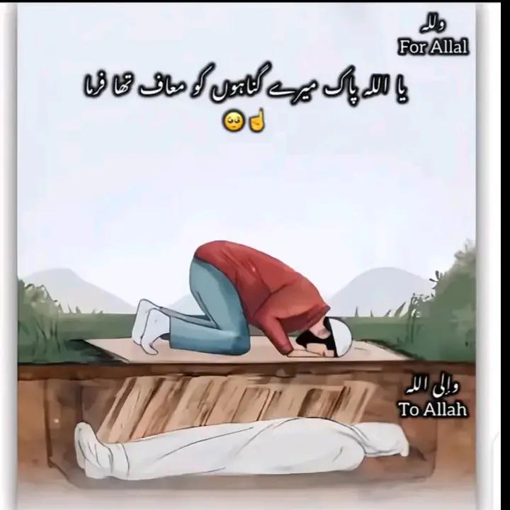 @noreenaafaq