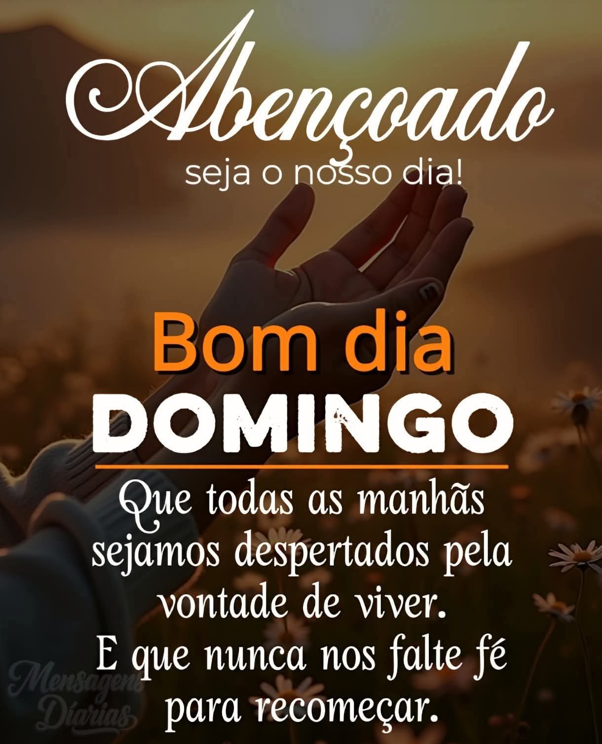 @Tânia lara