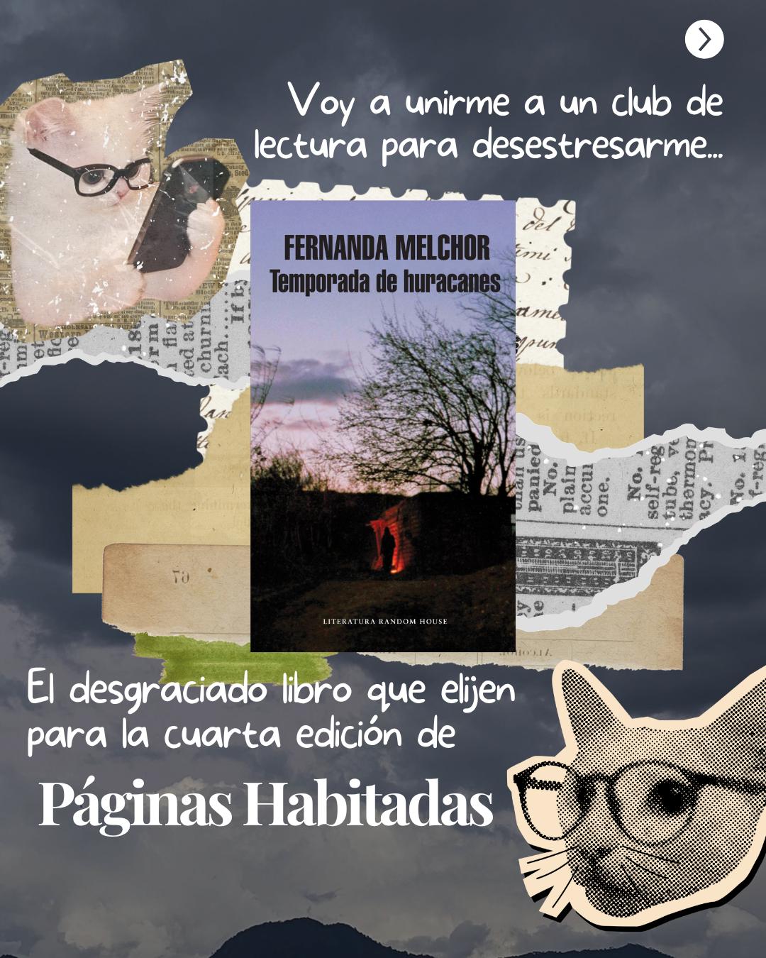 @lachicxquehabita