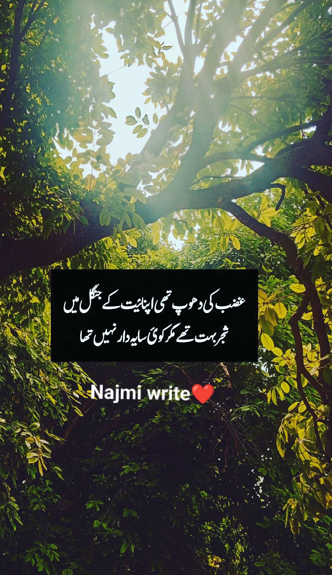 @Words of Love