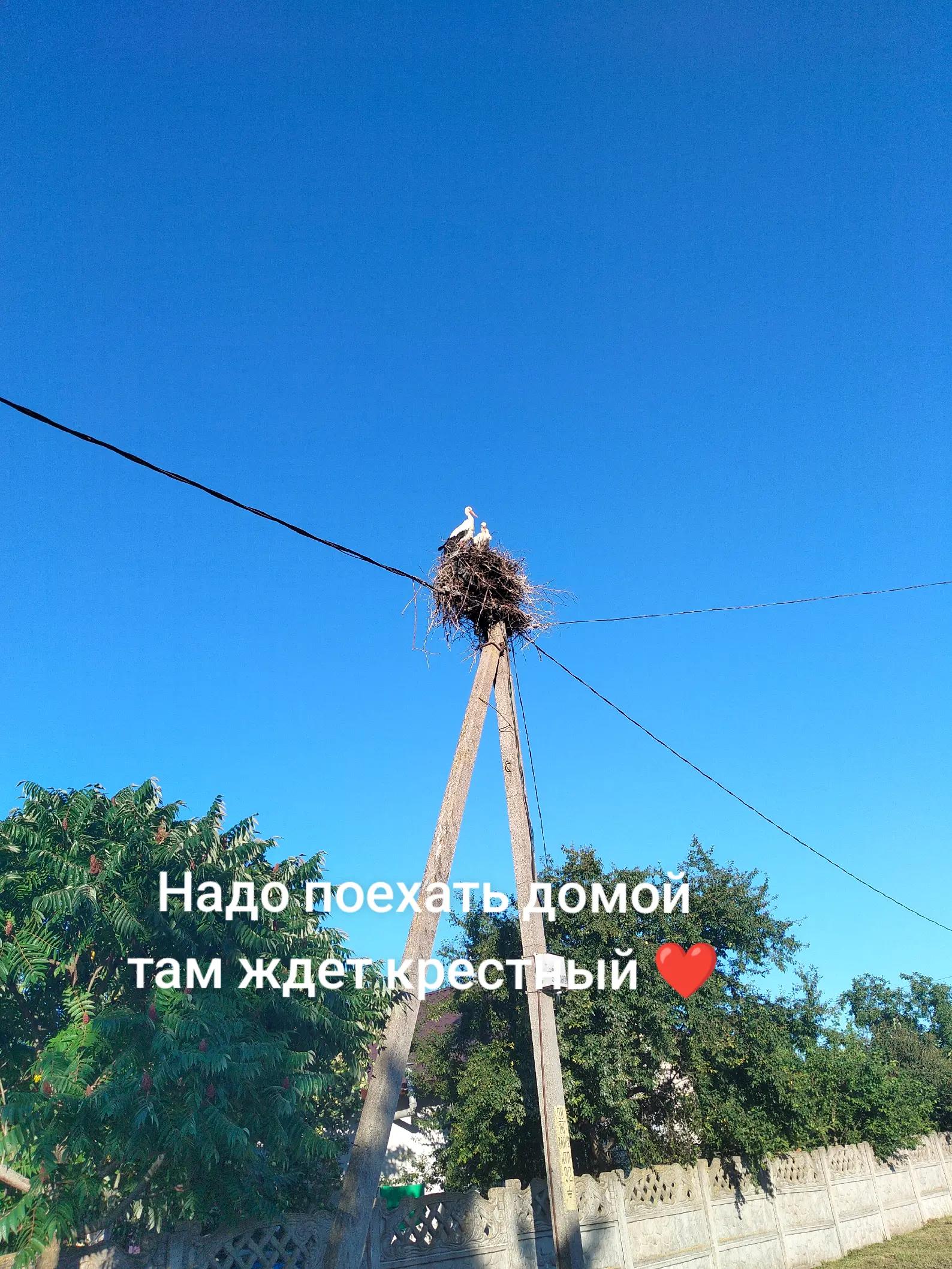 @~~~~<❤️>~~ ㄒвㄖй 卩卂й ~~~~<❤️>~~