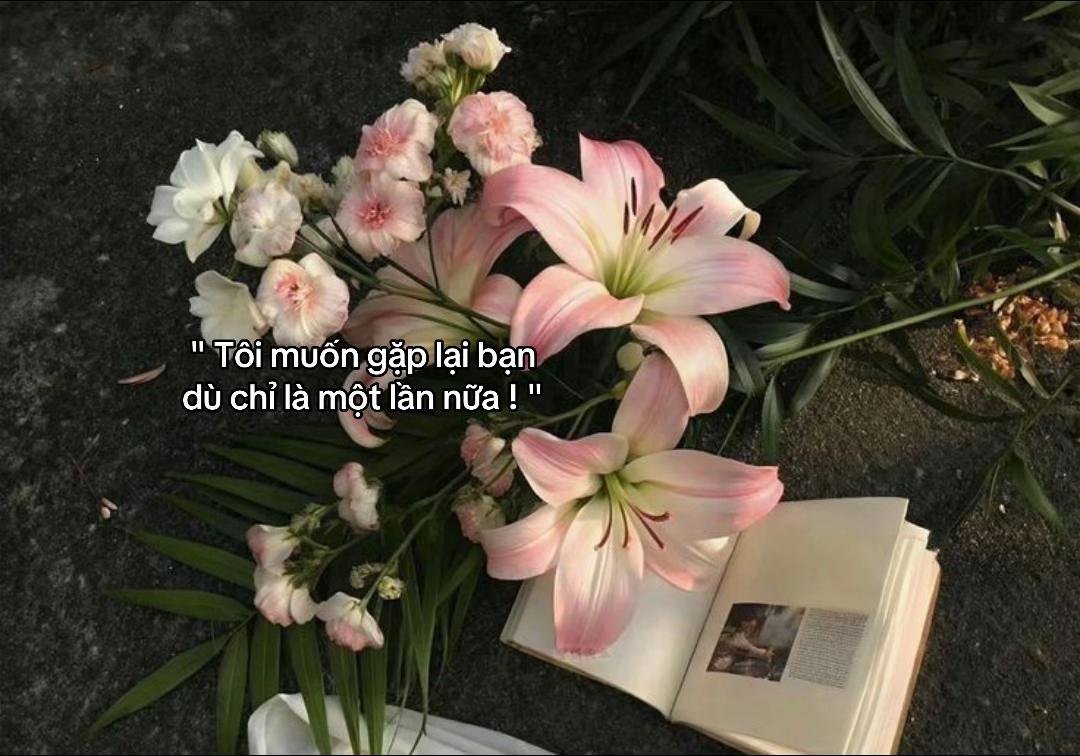 @Boidaikher