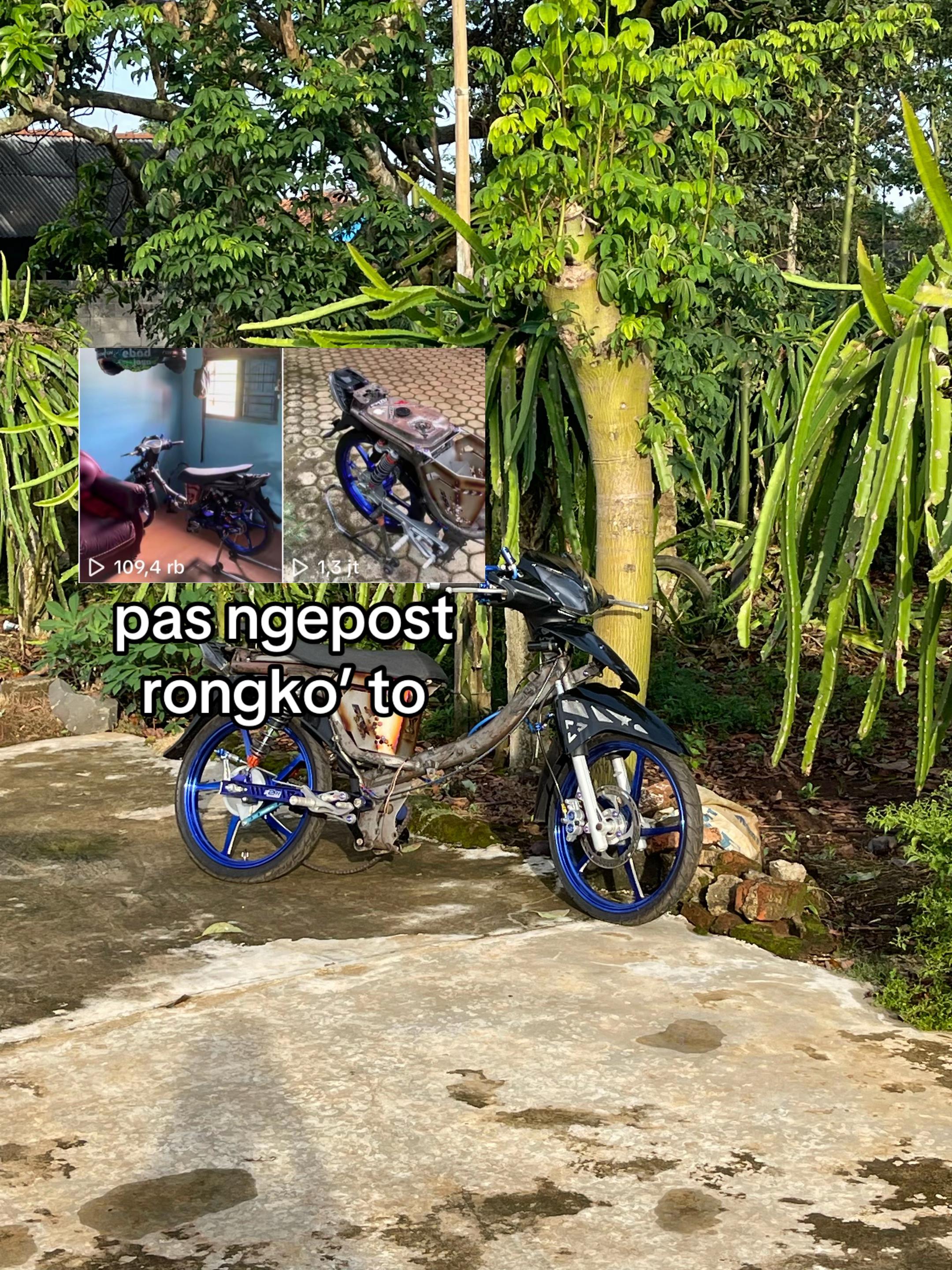 @🅿️utraxxs