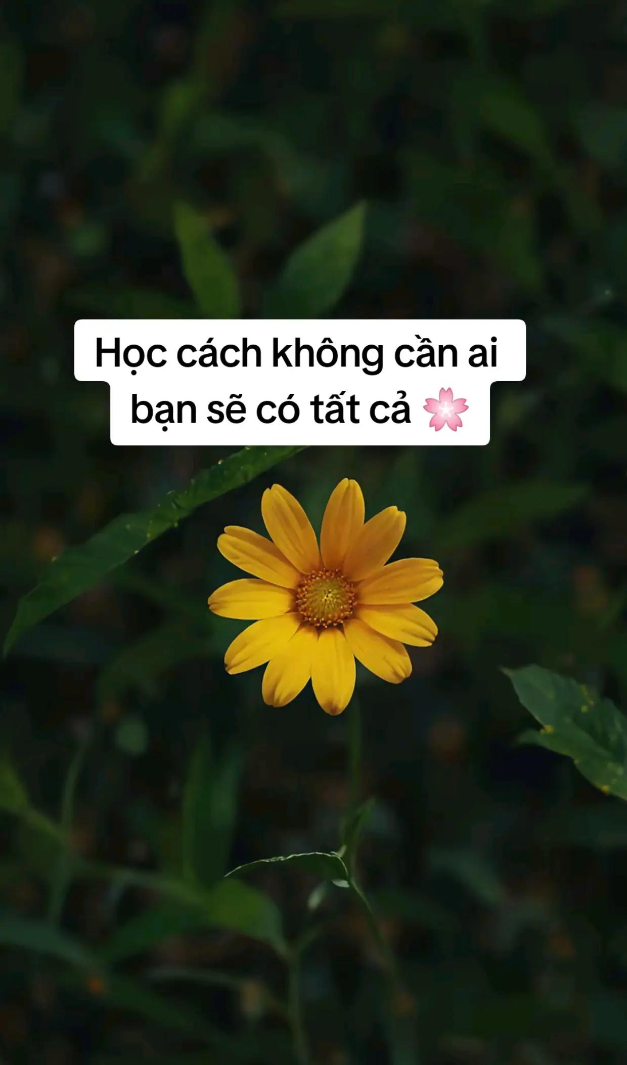 @Hồng Nguyệt
