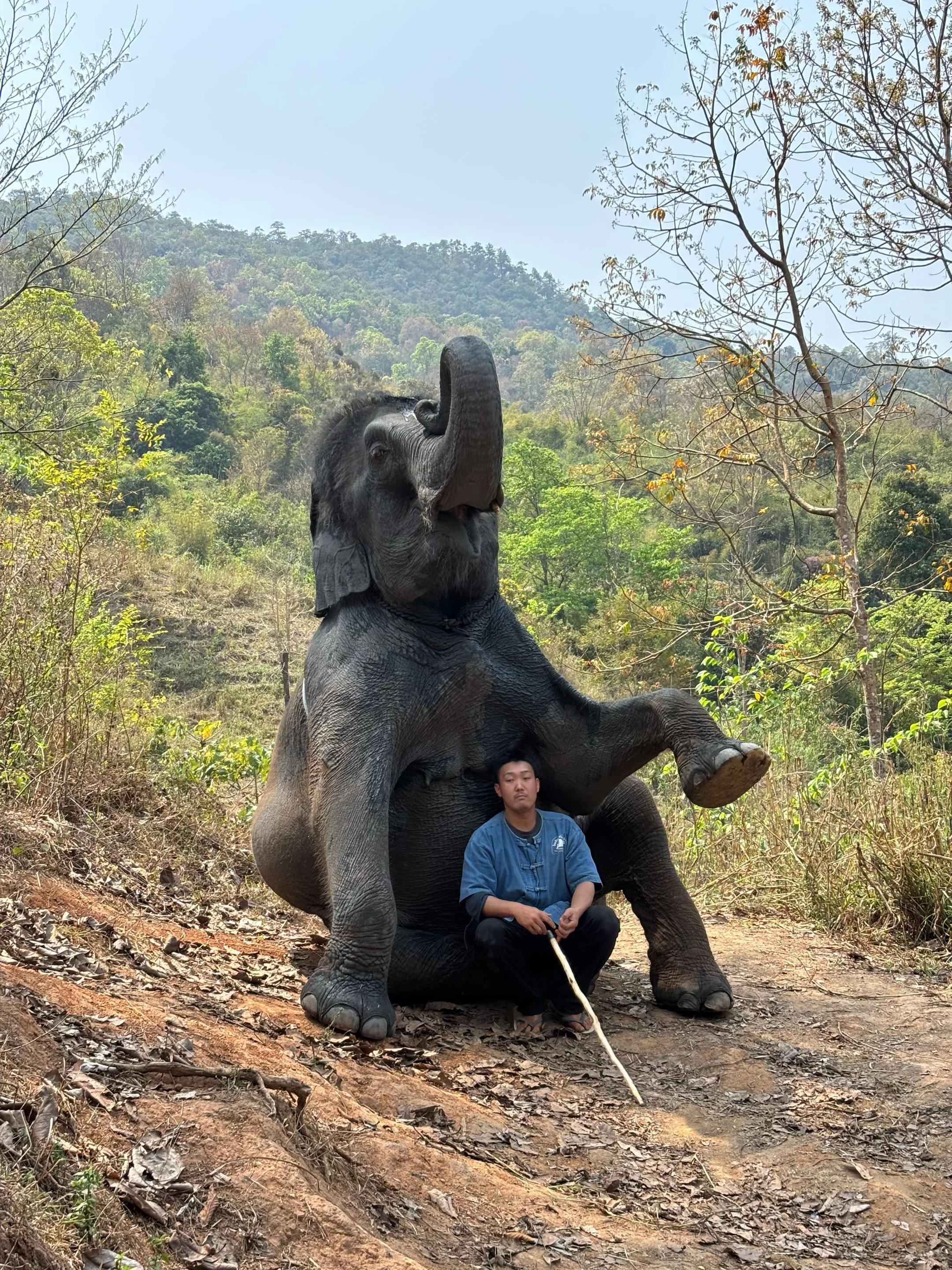 @ควาญช้างญี่ปุ่น