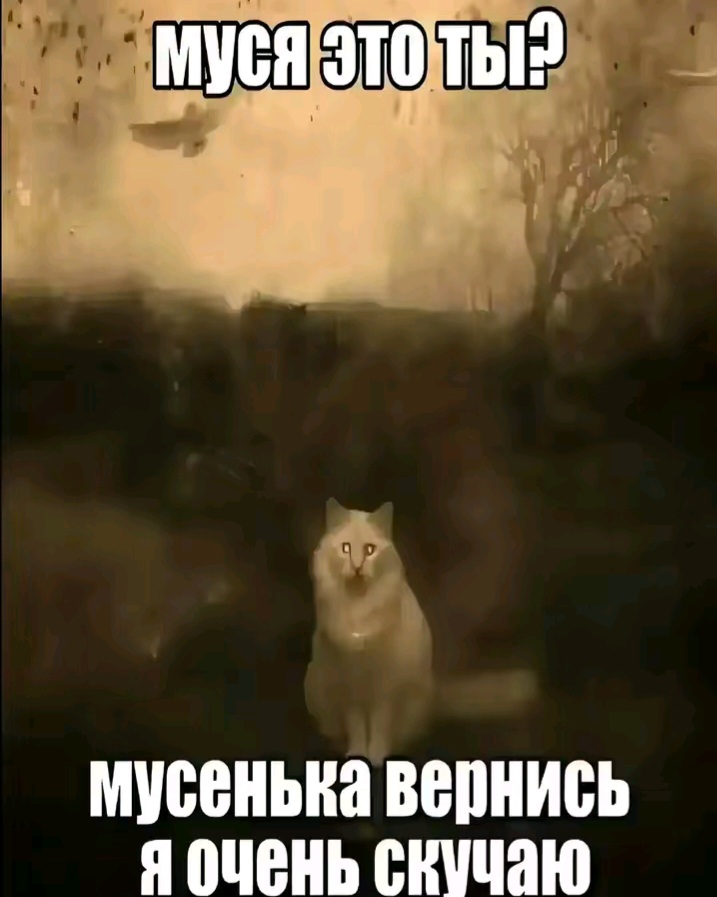 @фембойчик