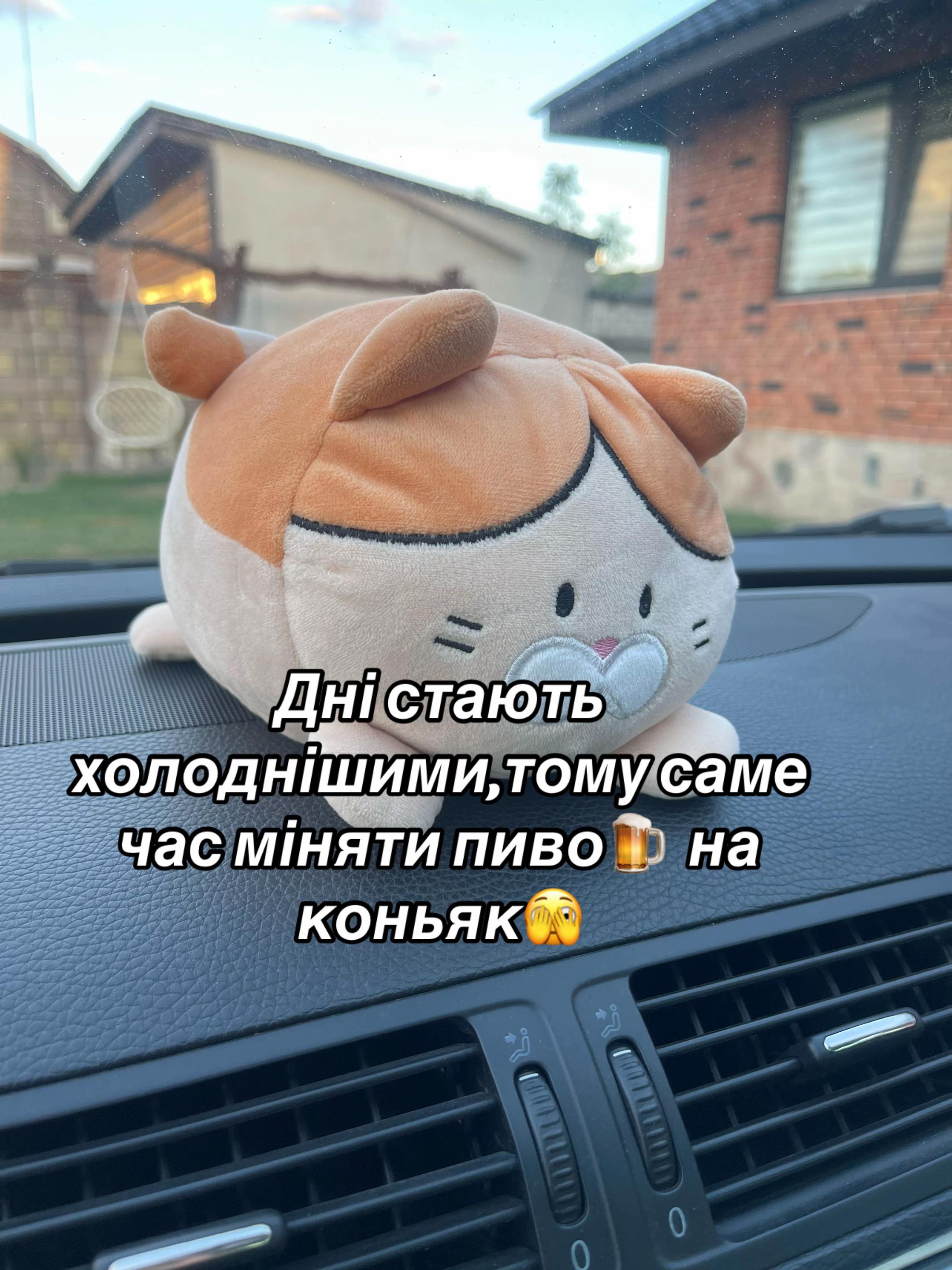 @Оксана Купрій (Кропива)