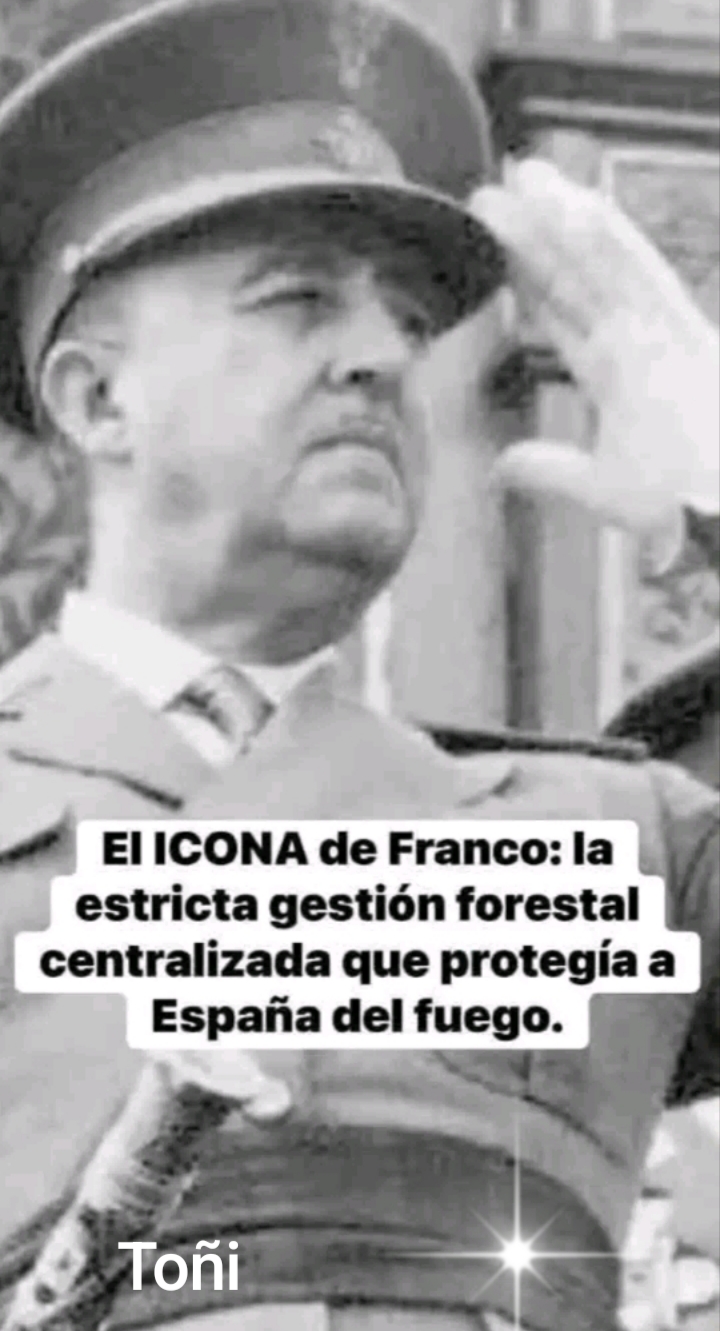 @To&ntilde;i