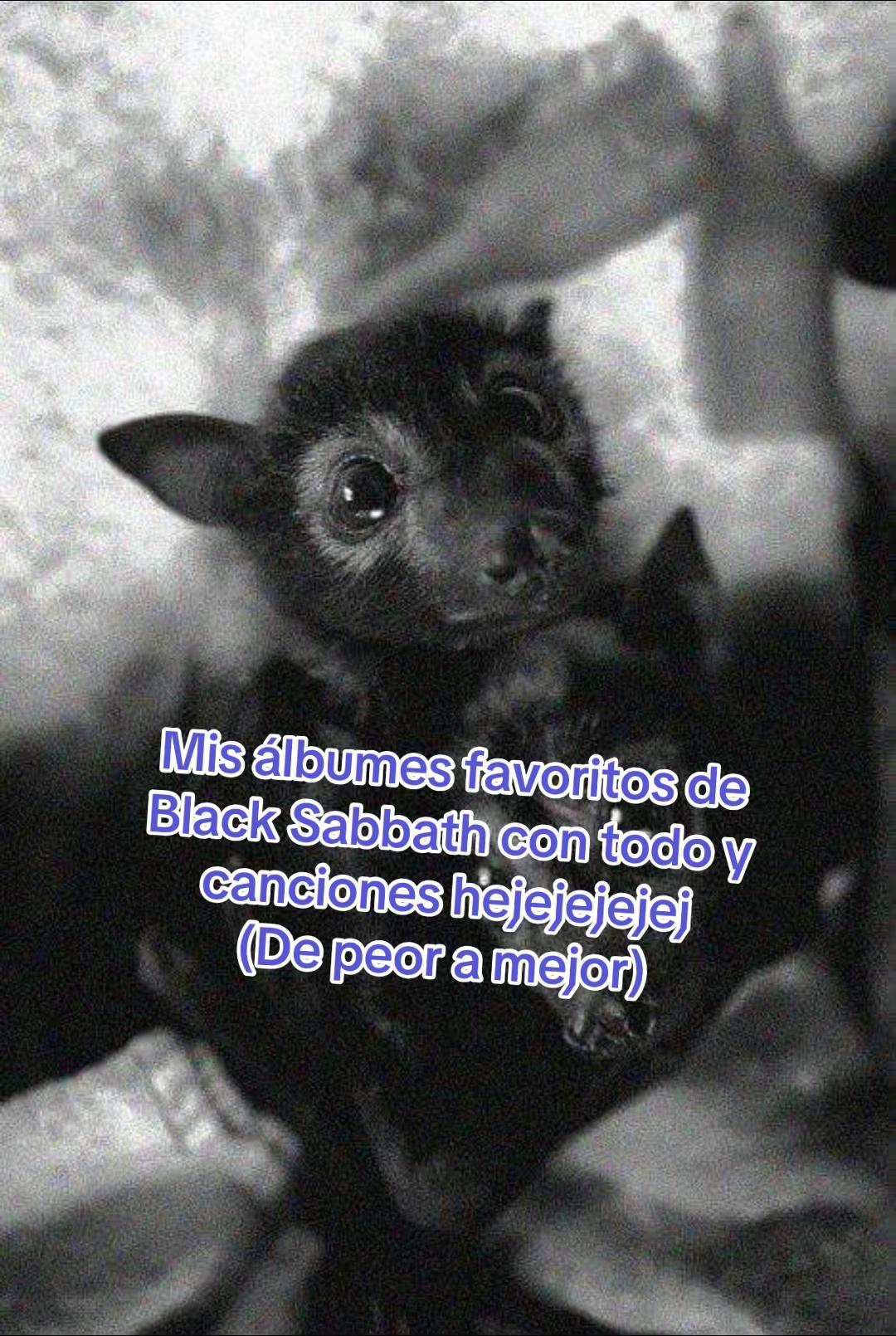 @🦇