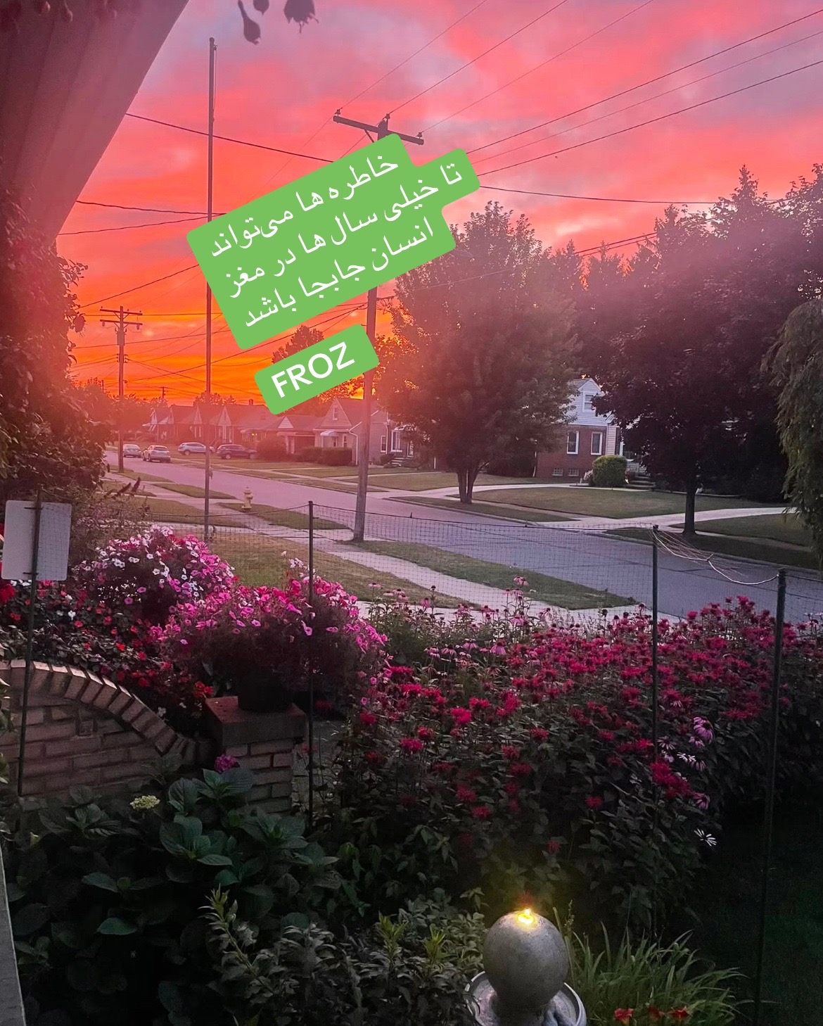 @FROZ@23456🇦🇫❤️🇺🇸