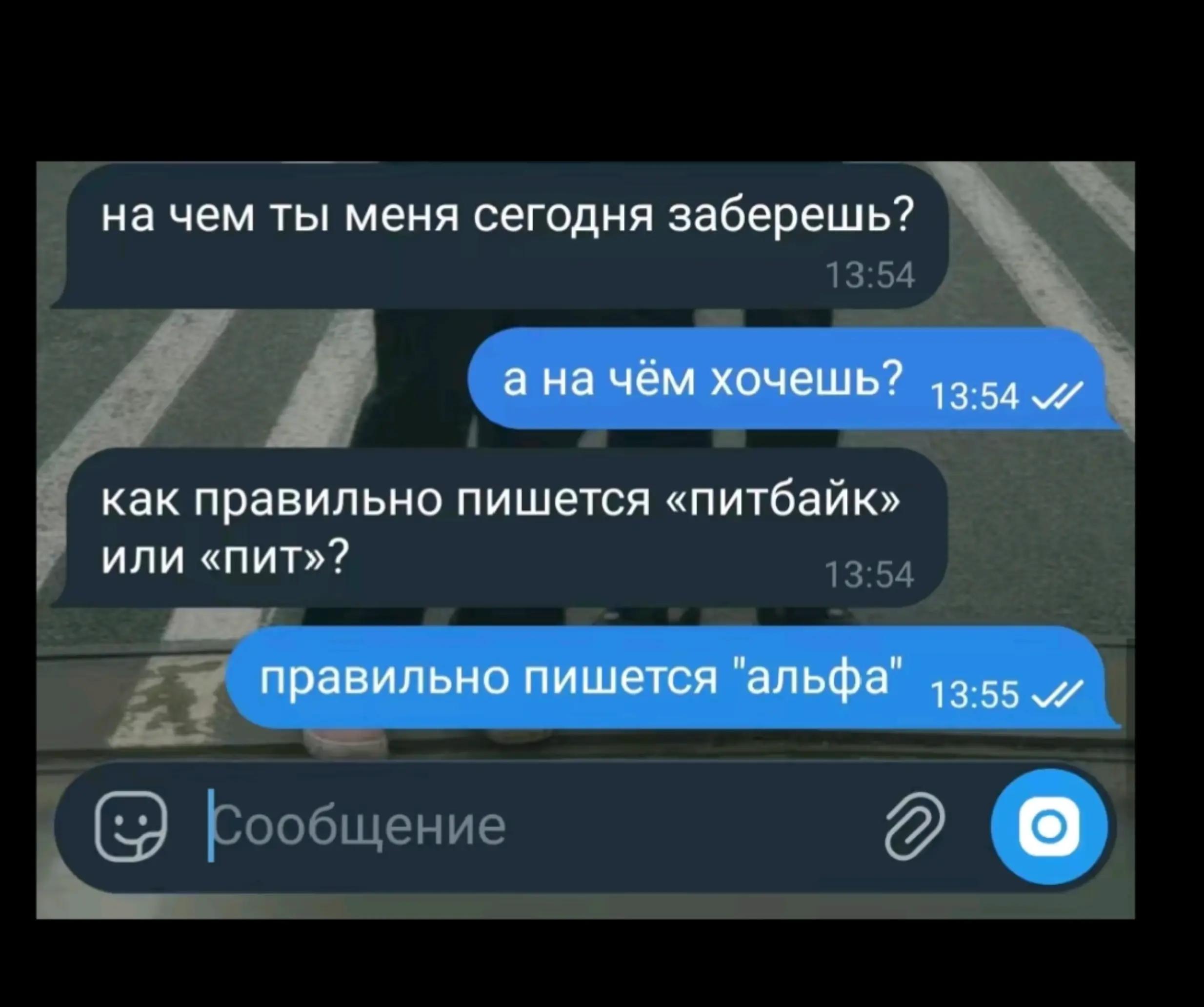 @alphavod🫟
