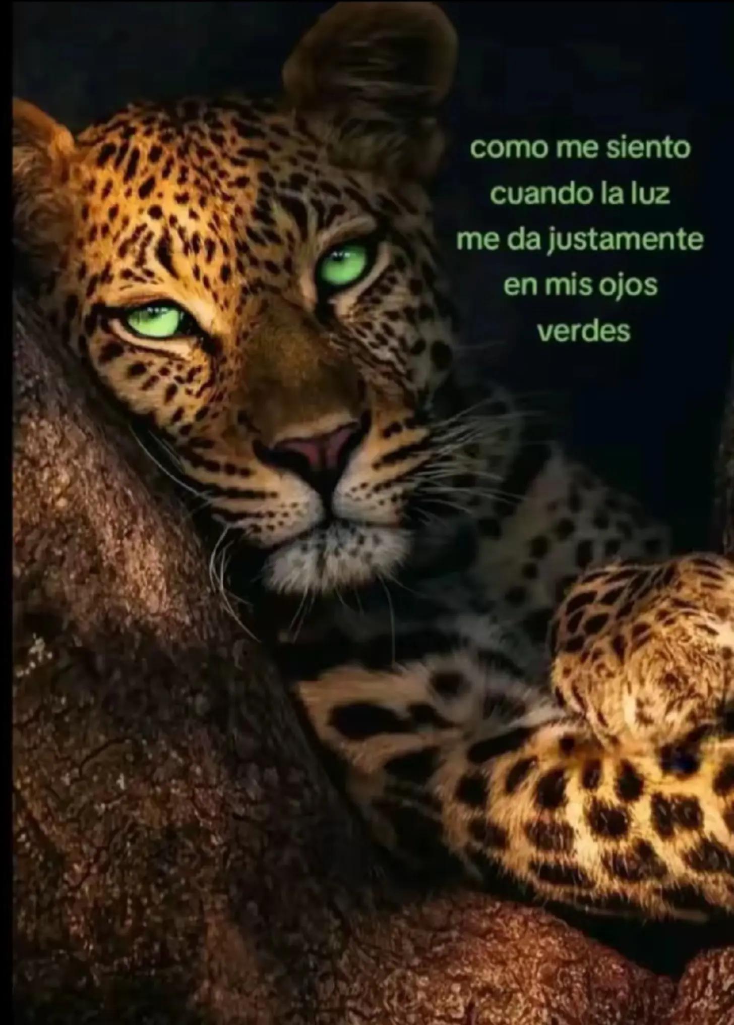 @Nohe😍💌