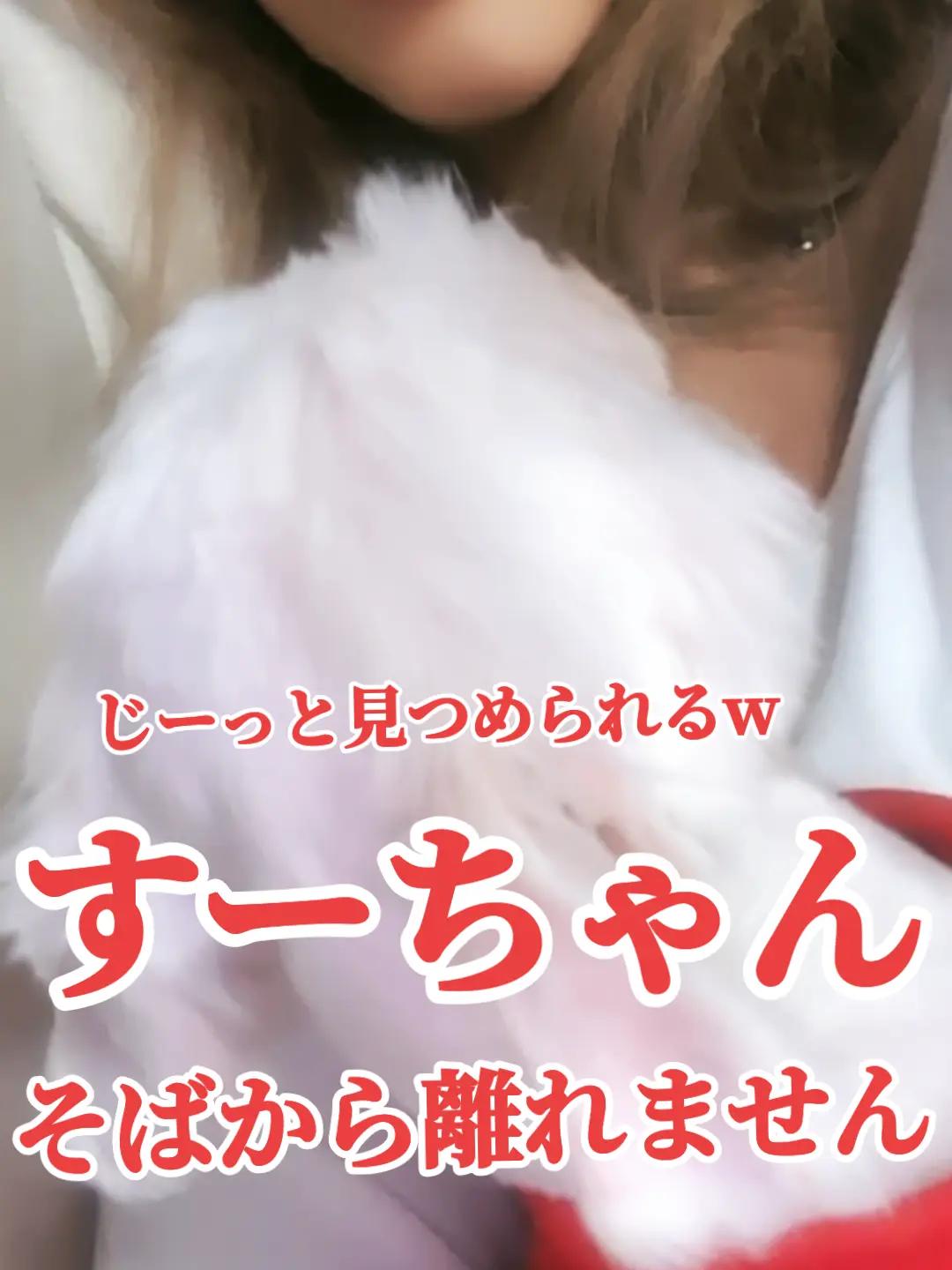 @®️万年蘭🎼︎🤍